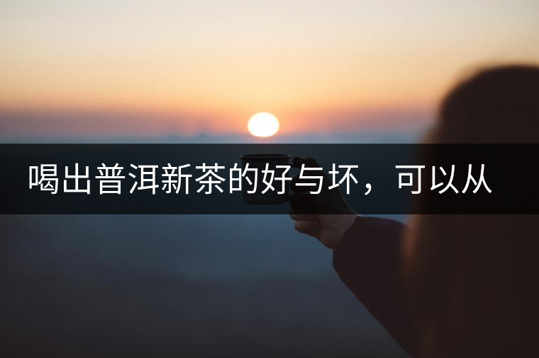 喝出普洱新茶的好與壞，可以從這五點(diǎn)出發(fā)