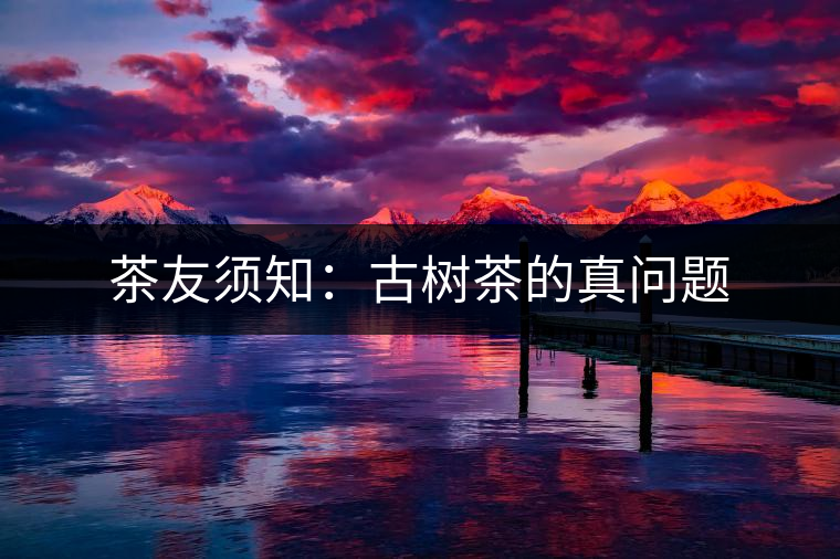 茶友須知:古樹(shù)茶的真問(wèn)題 茶友須知:古樹(shù)茶的真問(wèn)題