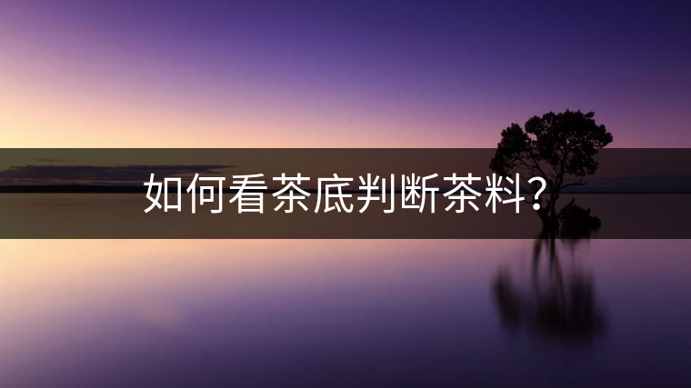 如何看茶底判斷茶料？