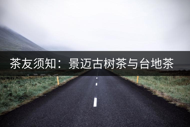 茶友須知:景邁古樹(shù)茶與臺(tái)地茶分辨 茶友須知:景邁古樹(shù)茶與臺(tái)地茶分辨