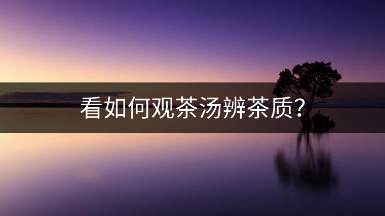 看如何觀茶湯辨茶質(zhì)？
