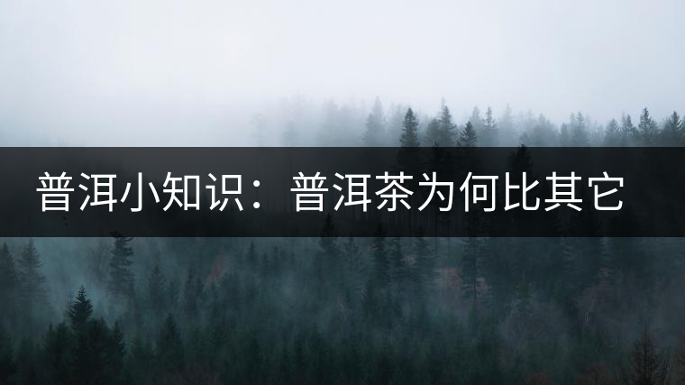 普洱小知識(shí)：普洱茶為何比其它茶葉耐泡？