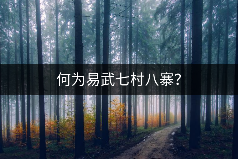何為易武七村八寨？