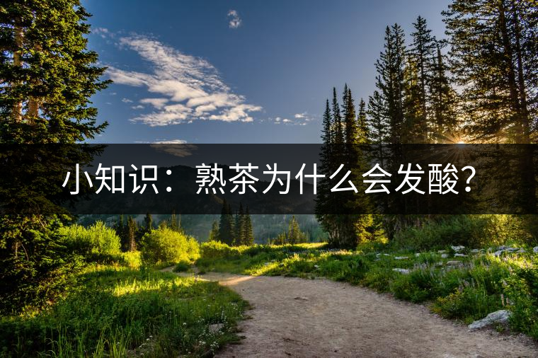 小知識(shí)：熟茶為什么會(huì)發(fā)酸？