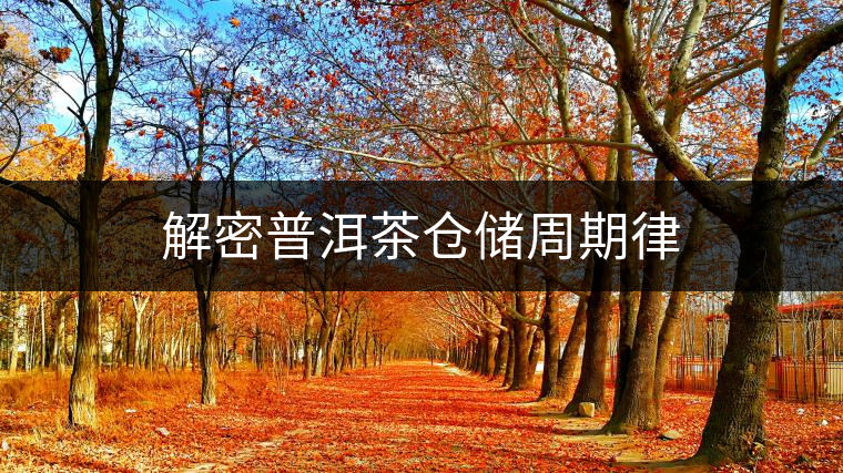 解密普洱茶倉儲(chǔ)周期律 解密普洱茶倉儲(chǔ)周期律