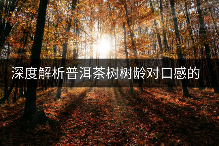 深度解析普洱茶樹(shù)樹(shù)齡對(duì)口感的影響 深度解析普洱茶樹(shù)樹(shù)齡對(duì)口感的影響