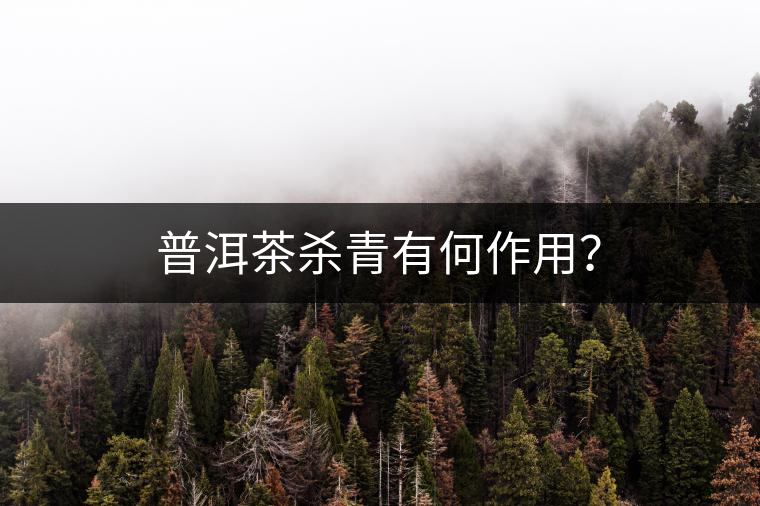 普洱茶殺青有何作用？