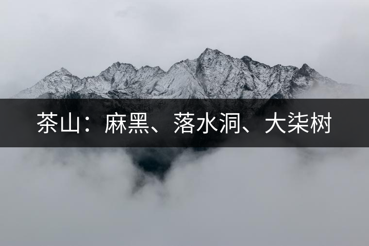 茶山：麻黑、落水洞、大柒樹(shù)