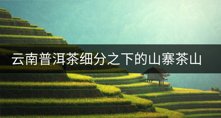 云南普洱茶細(xì)分之下的山寨茶山頭茶趨勢 云南普洱茶細(xì)分之下的山寨茶山頭茶趨勢