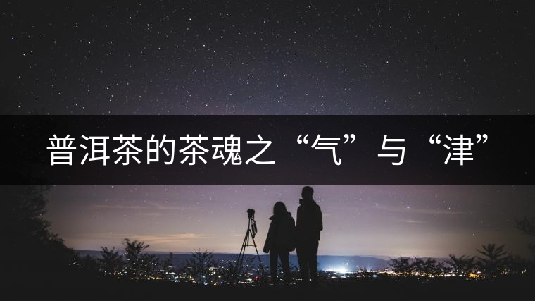 普洱茶的茶魂之“氣”與“津” 普洱茶的茶魂之“氣”與“津”