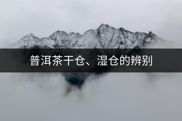 普洱茶干倉、濕倉的辨別