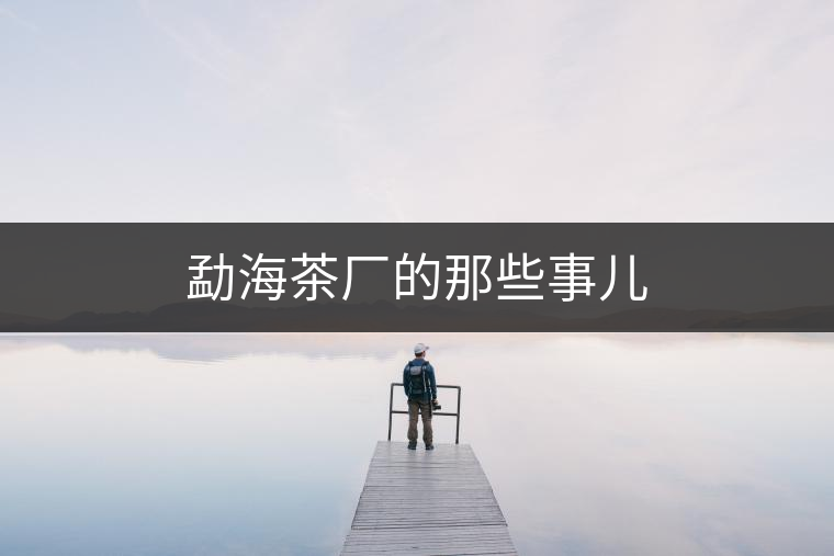 勐海茶廠(chǎng)的那些事兒 勐海茶廠(chǎng)的那些事兒