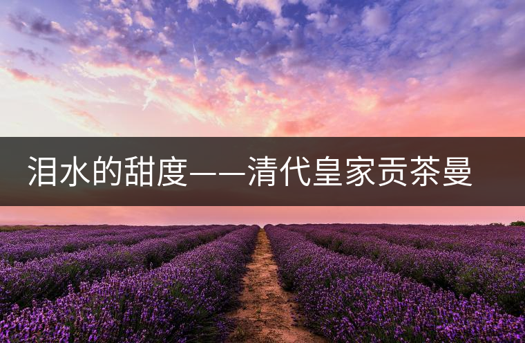 淚水的甜度——清代皇家貢茶曼松茶 淚水的甜度——清代皇家貢茶曼松茶