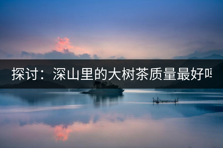 探討：深山里的大樹(shù)茶質(zhì)量最好嗎？