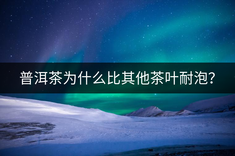 普洱茶為什么比其他茶葉耐泡？