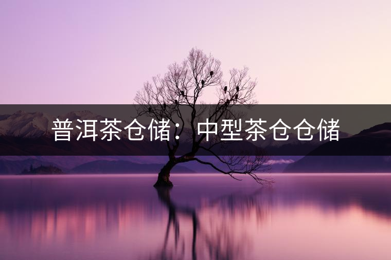 普洱茶倉儲:中型茶倉倉儲 普洱茶倉儲:中型茶倉倉儲