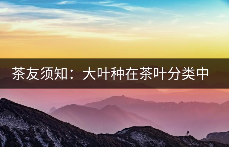 茶友須知:大葉種在茶葉分類中的地位 茶友須知:大葉種在茶葉分類中的地位