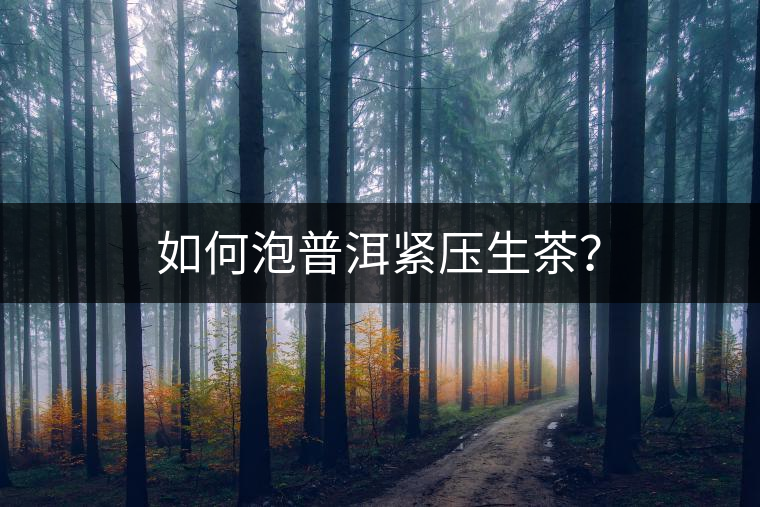 如何泡普洱緊壓生茶？