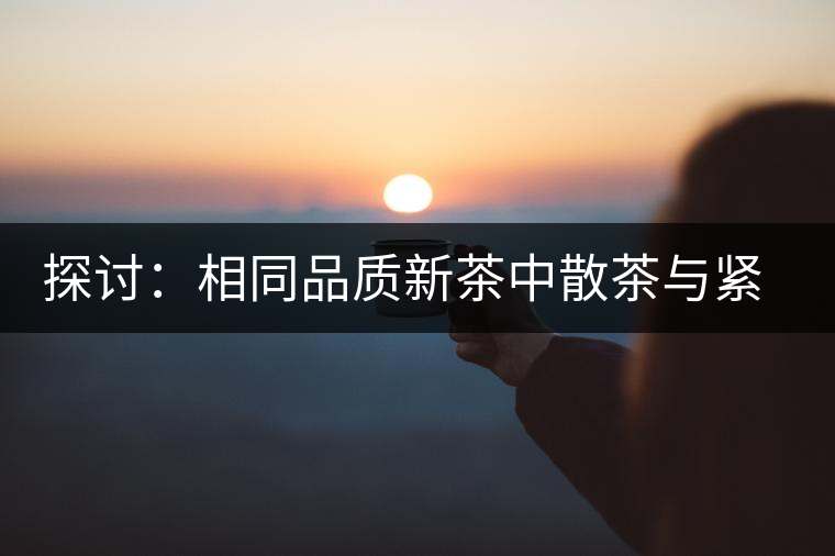 探討：相同品質(zhì)新茶中散茶與緊壓茶哪個(gè)好？