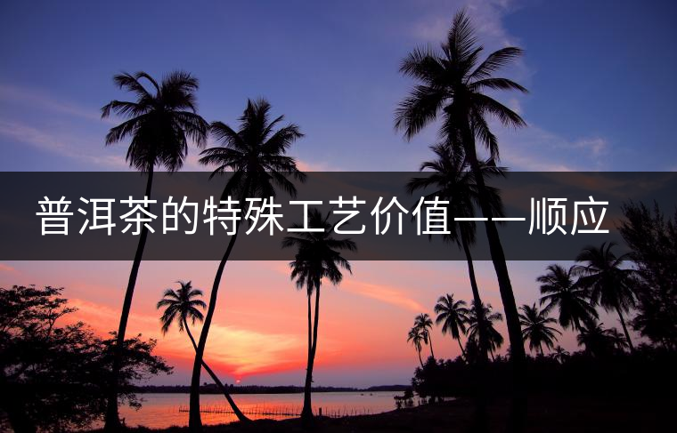 普洱茶的特殊工藝價值——順應自然的啟示