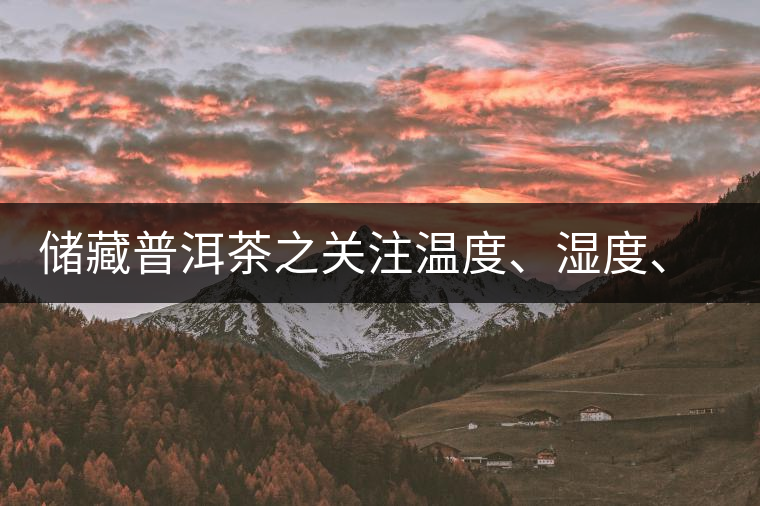 儲藏普洱茶之關注溫度、濕度、異味因素影響