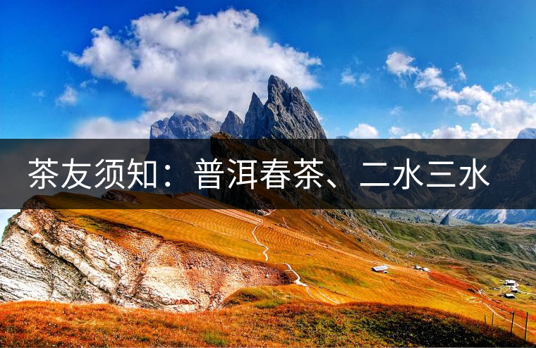 茶友須知：普洱春茶、二水三水茶和谷花茶