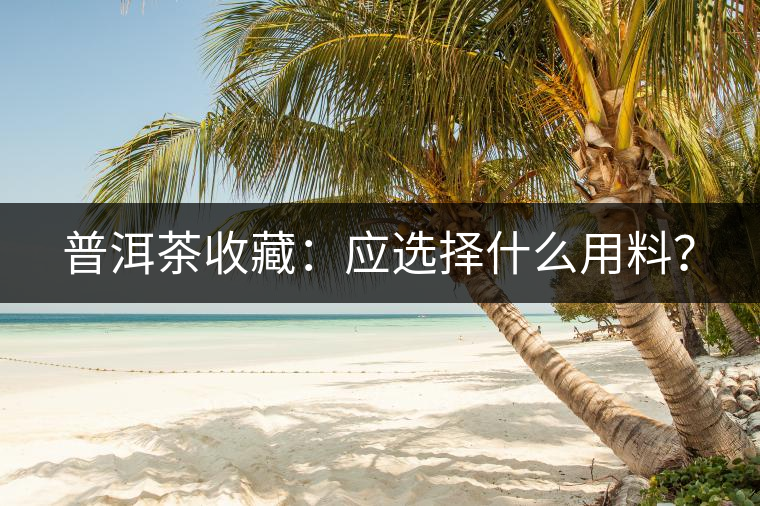 普洱茶收藏：應(yīng)選擇什么用料？