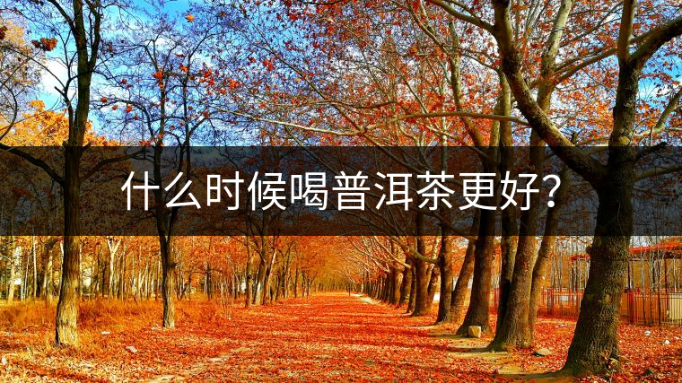 什么時候喝普洱茶更好？