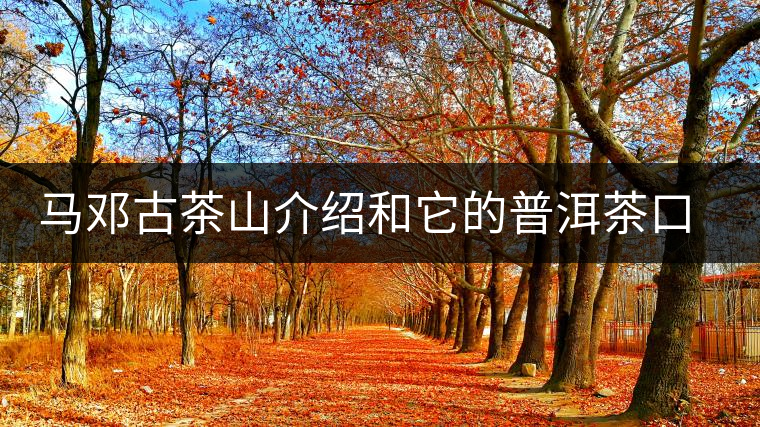 馬鄧古茶山介紹和它的普洱茶口感特點 馬鄧古茶山介紹和它的普洱茶口感特點