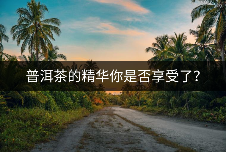 普洱茶的精華你是否享受了？