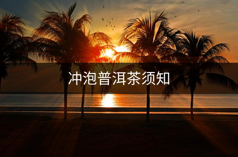 沖泡普洱茶須知