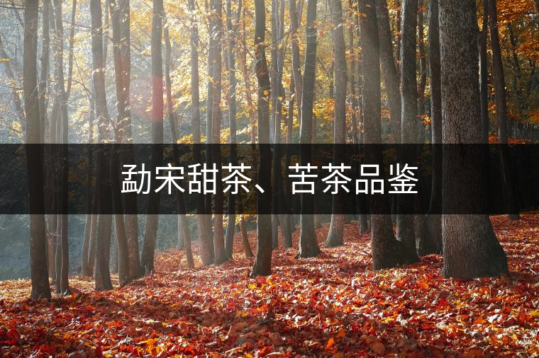 勐宋甜茶、苦茶品鑒