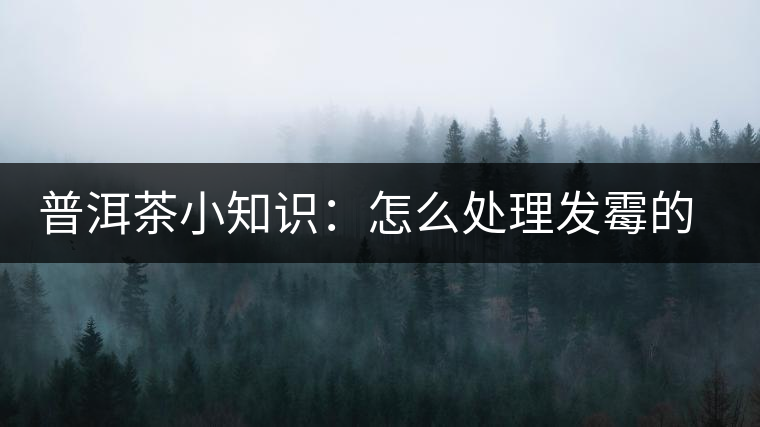 普洱茶小知識(shí)：怎么處理發(fā)霉的普洱茶