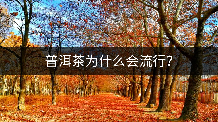 普洱茶為什么會(huì)流行? 普洱茶為什么會(huì)流行?