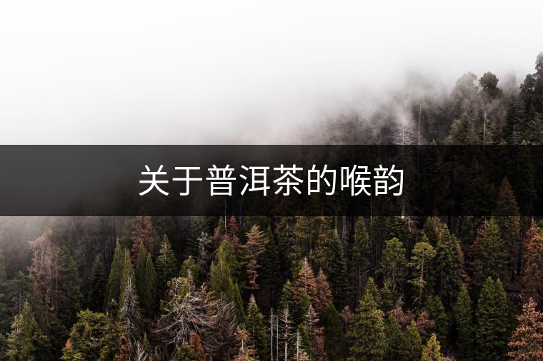 關(guān)于普洱茶的喉韻