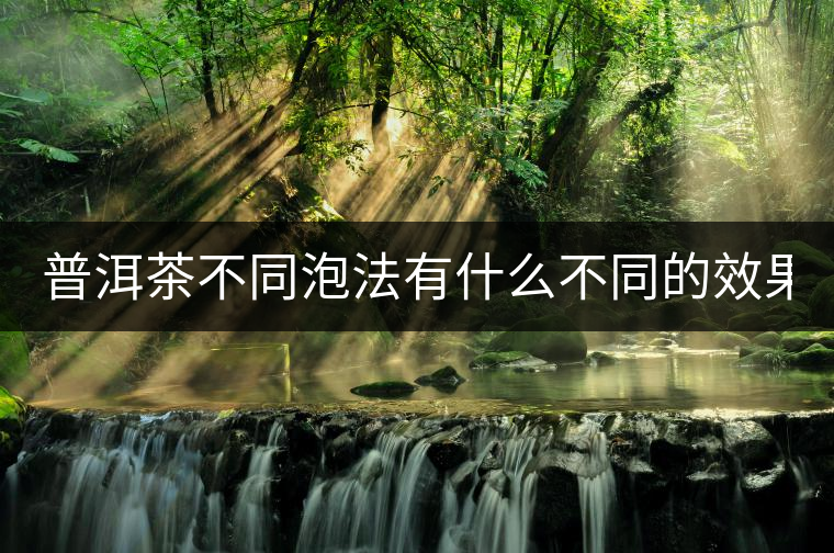 普洱茶不同泡法有什么不同的效果？