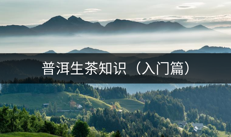 普洱生茶知識(shí)（入門篇）