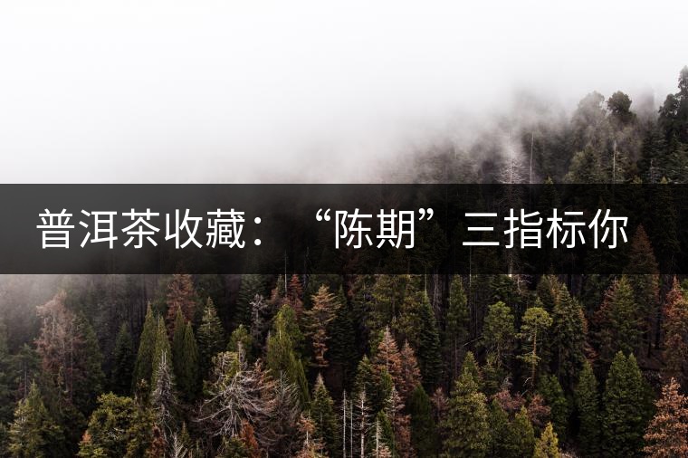 普洱茶收藏：“陳期”三指標(biāo)你知道嗎？