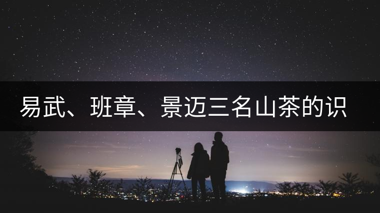易武、班章、景邁三名山茶的識別