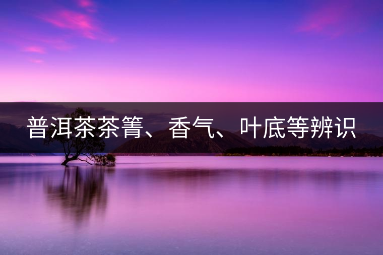 普洱茶茶箐、香氣、葉底等辨識(shí)