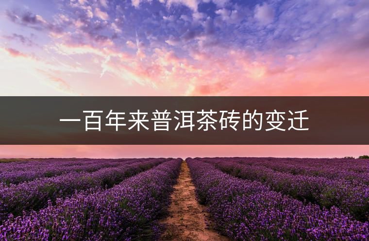 一百年來(lái)普洱茶磚的變遷 一百年來(lái)普洱茶磚的變遷