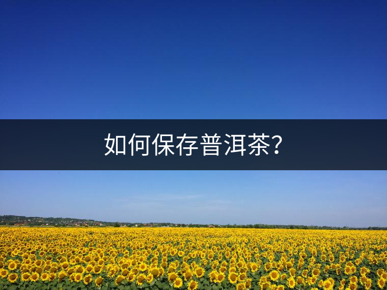 如何保存普洱茶？