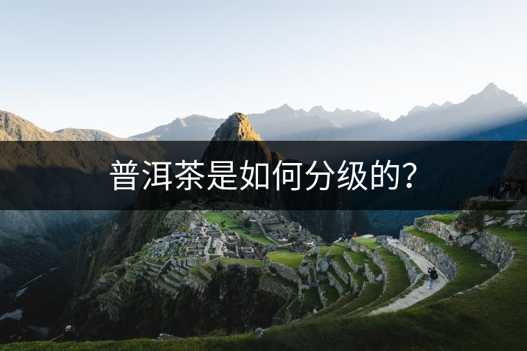 普洱茶是如何分級的？