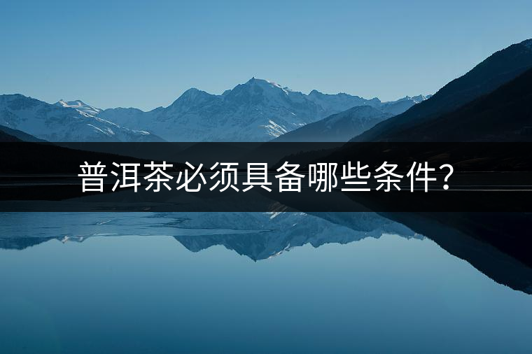 普洱茶必須具備哪些條件？