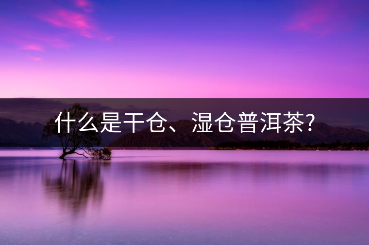 什么是干倉(cāng)、濕倉(cāng)普洱茶?