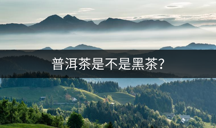 普洱茶是不是黑茶？