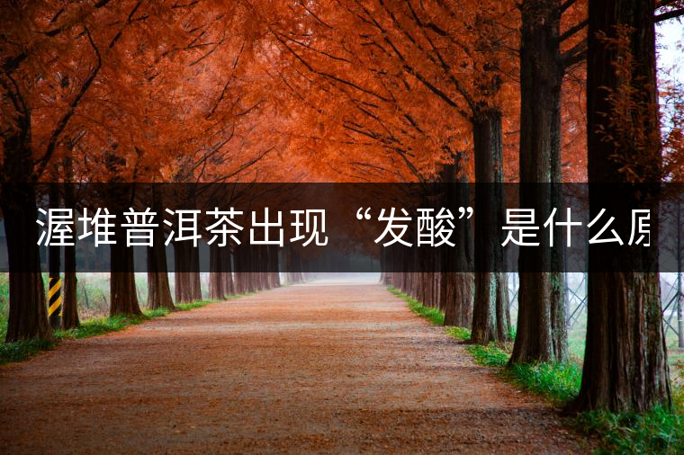 渥堆普洱茶出現(xiàn)“發(fā)酸”是什么原因？