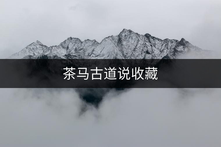 茶馬古道說(shuō)收藏 茶馬古道說(shuō)收藏