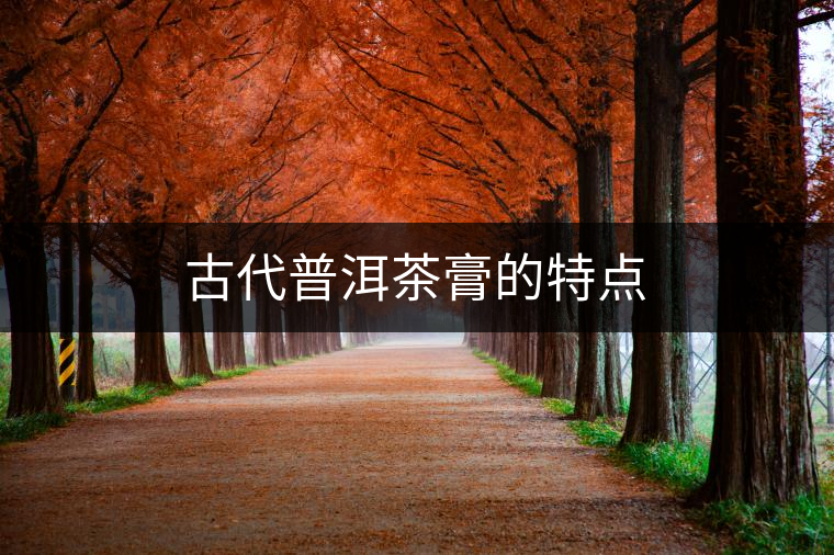 古代普洱茶膏的特點 古代普洱茶膏的特點