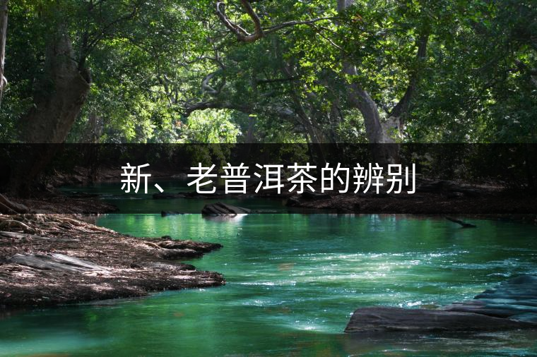 新、老普洱茶的辨別